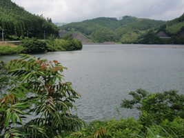b0126408_1340372.jpg