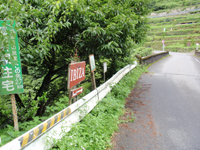 b0126408_13482882.jpg