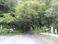 b0126408_13531825.jpg