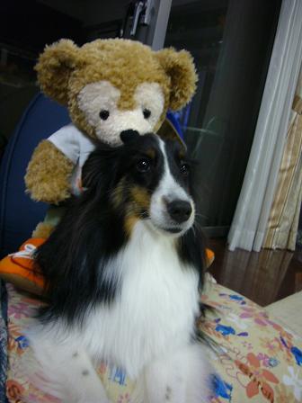 e0130008_2104411.jpg