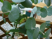 f0152412_17201874.jpg
