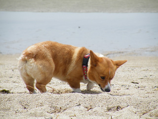 c0127617_2211729.jpg