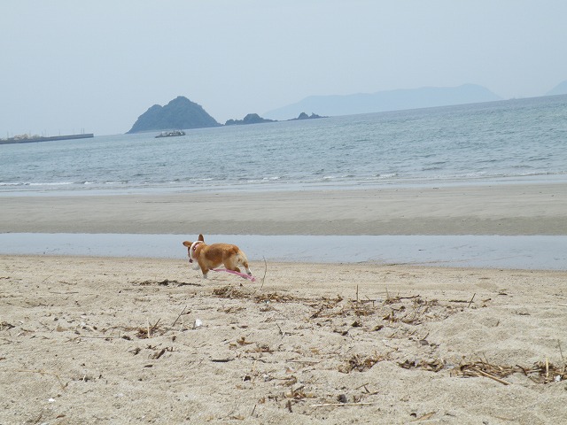c0127617_22272139.jpg