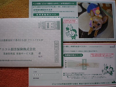 b0144519_13591966.jpg