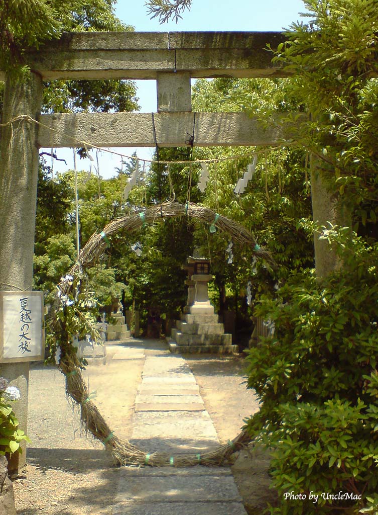 e0028625_1757466.jpg