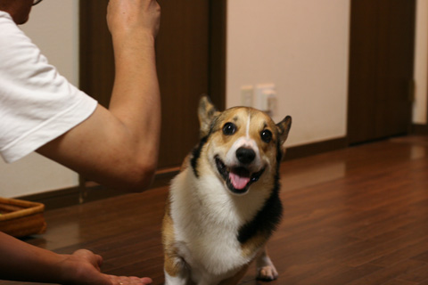 e0071225_20592992.jpg
