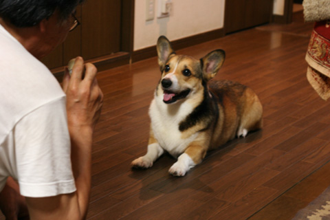 e0071225_21124455.jpg