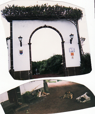 d0147727_7192382.jpg