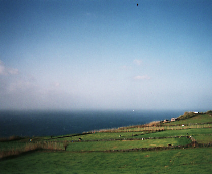 d0147727_7225624.jpg
