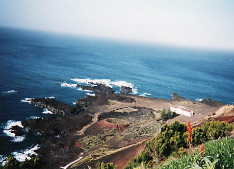 d0147727_7231794.jpg
