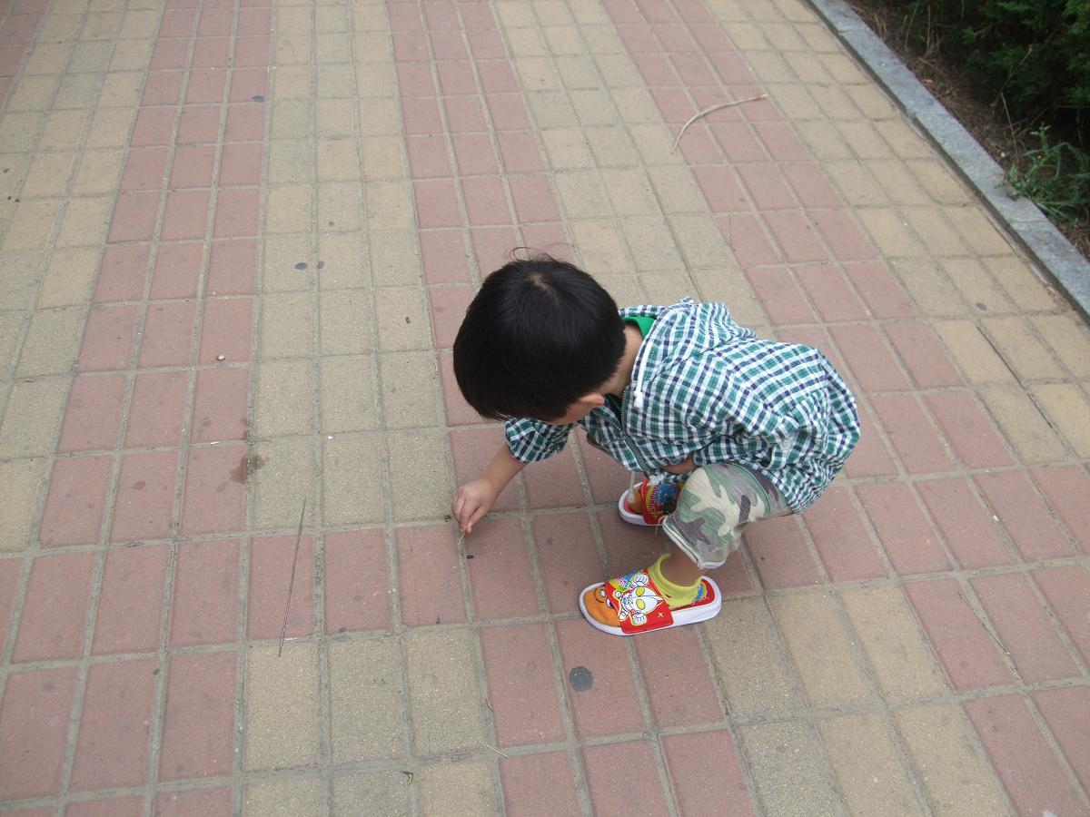 f0139029_9235755.jpg