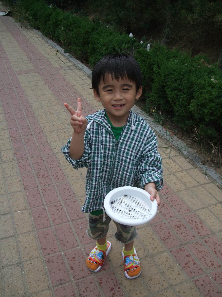f0139029_9244599.jpg