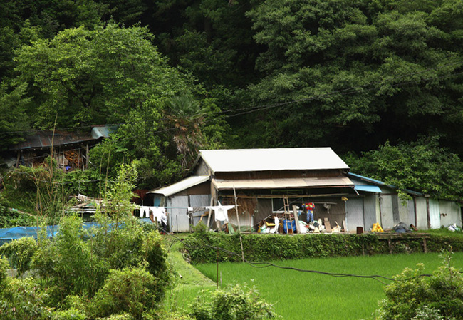 d0147530_5543390.jpg