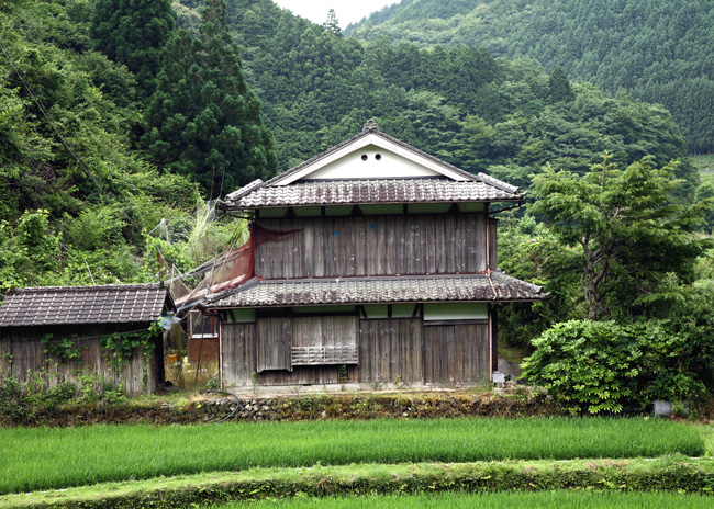 d0147530_554739.jpg