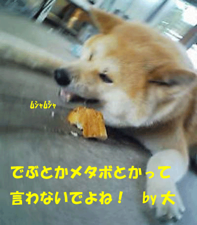 f0008935_048055.gif