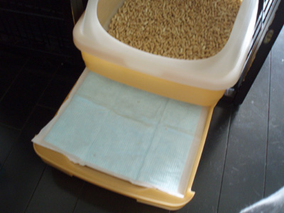 c0132438_13233842.jpg