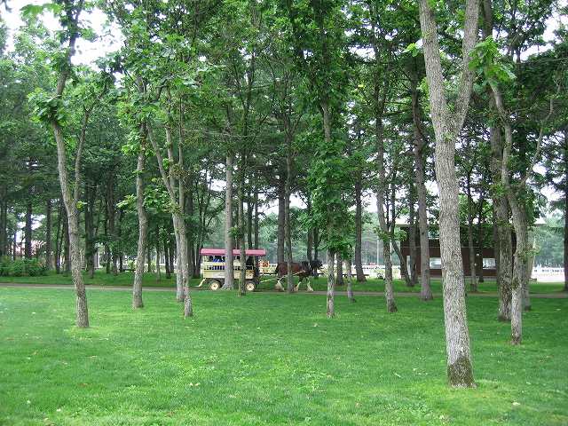c0029442_1614994.jpg