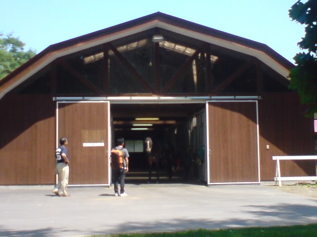 c0029442_16193392.jpg