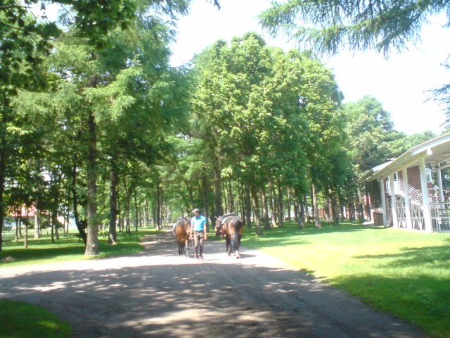 c0029442_16201285.jpg