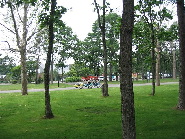 c0029442_162693.jpg