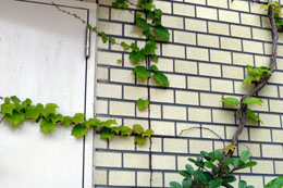 c0131544_07571.jpg