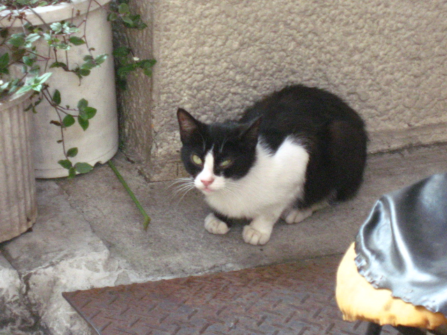 b0097747_9382867.jpg