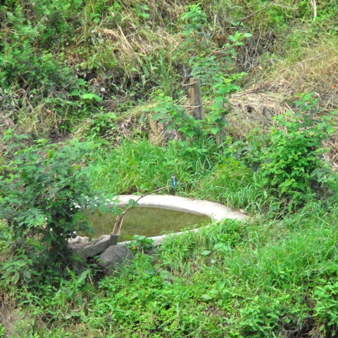 e0122350_22162935.jpg