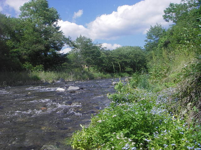 a0079652_11474380.jpg