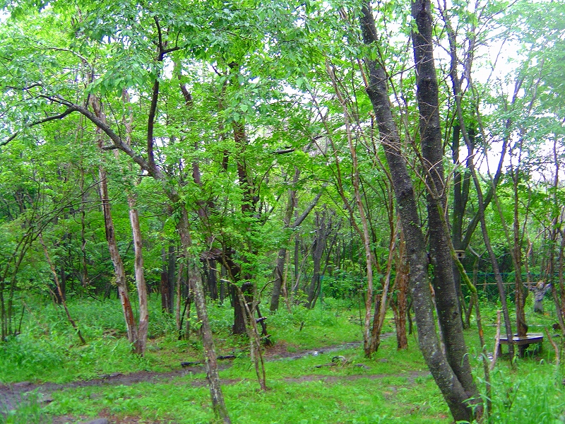 f0142558_20422750.jpg