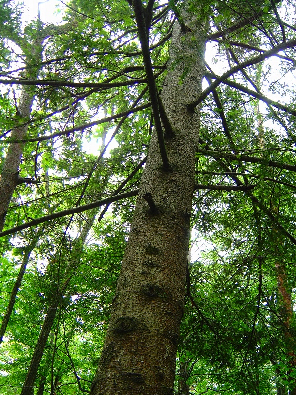 f0142558_20433159.jpg