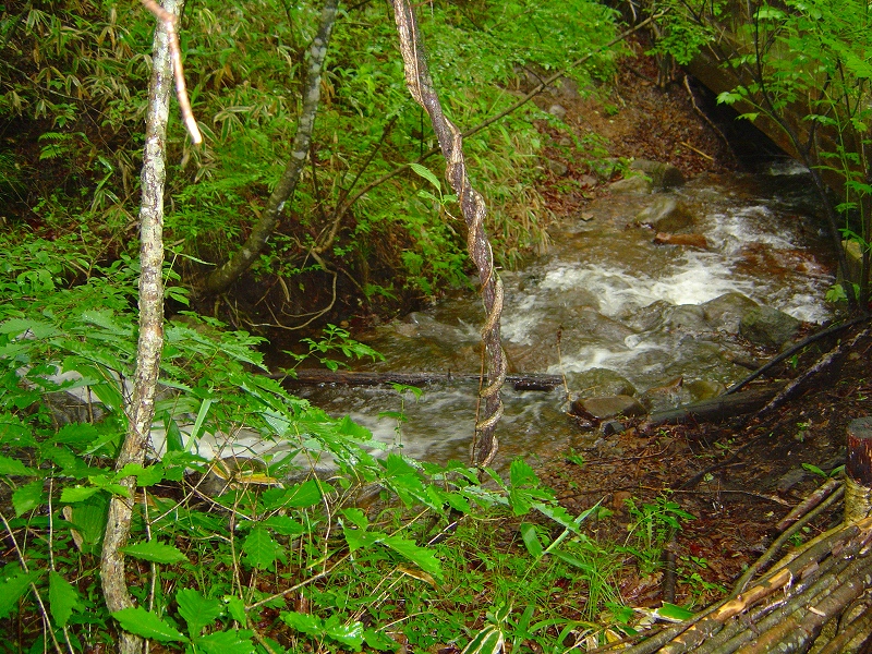 f0142558_2044425.jpg