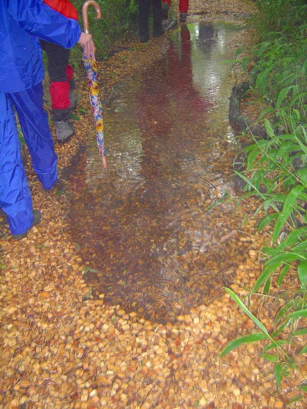 f0142558_20444433.jpg
