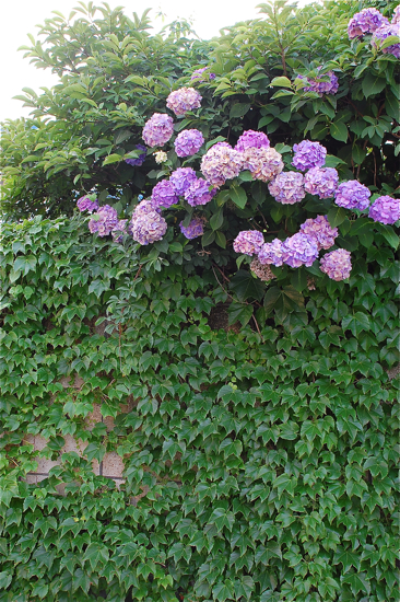 f0176458_11485019.jpg