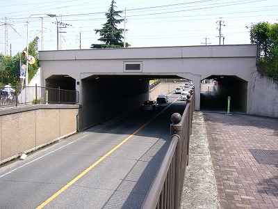 f0106664_6593040.jpg