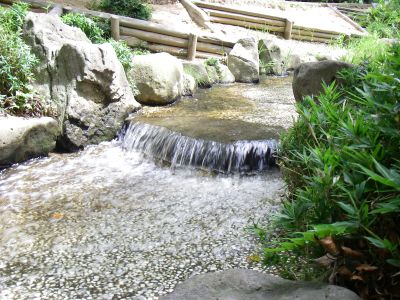 e0143671_1421038.jpg