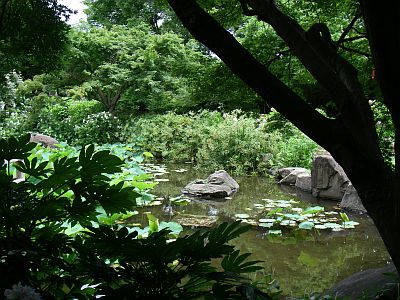e0143671_1423866.jpg
