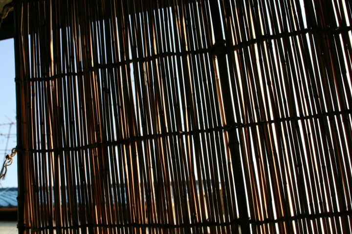 d0079373_2339418.jpg