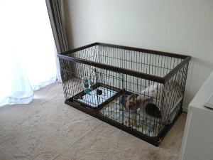 f0018384_17105236.jpg