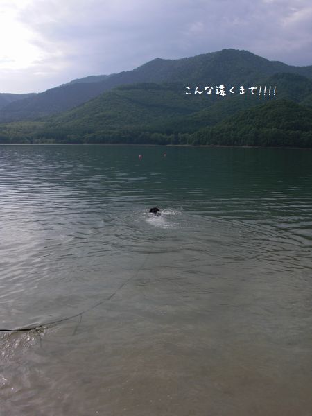 b0000885_22315740.jpg