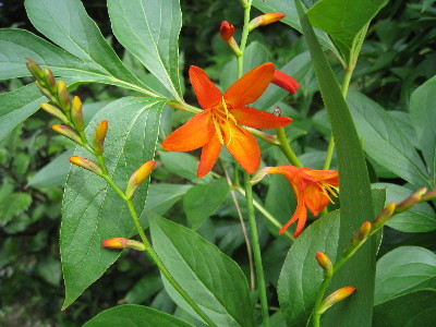 c0132387_004043.jpg