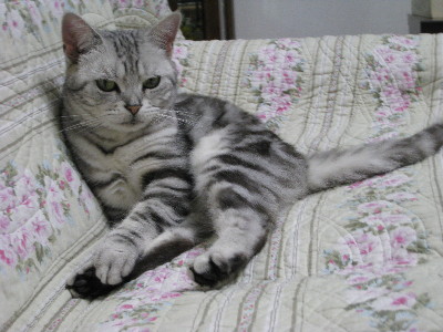 c0132387_075113.jpg