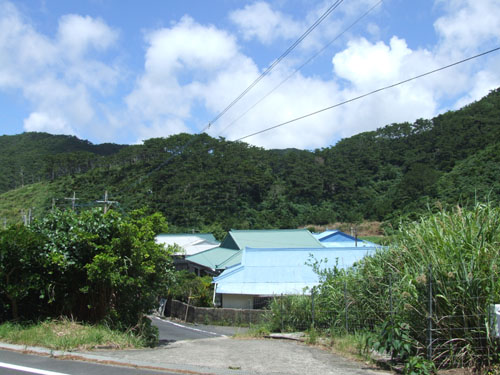 e0028387_23101747.jpg