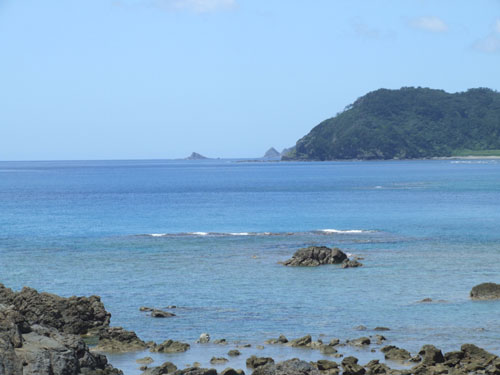 e0028387_23124114.jpg
