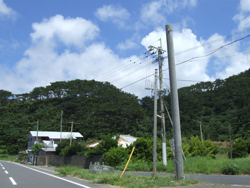 e0028387_2313619.jpg
