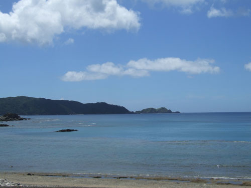 e0028387_2314192.jpg