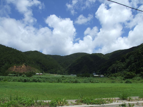 e0028387_23142716.jpg