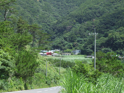 e0028387_23163718.jpg