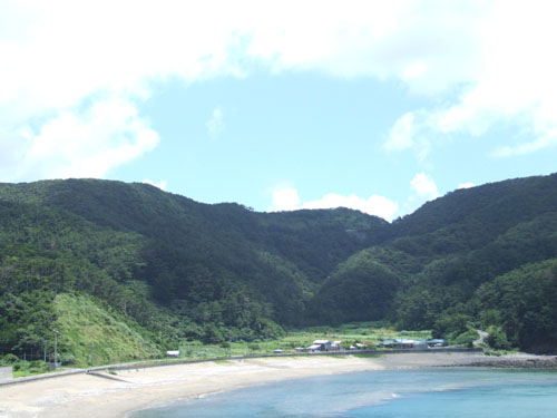 e0028387_2316586.jpg