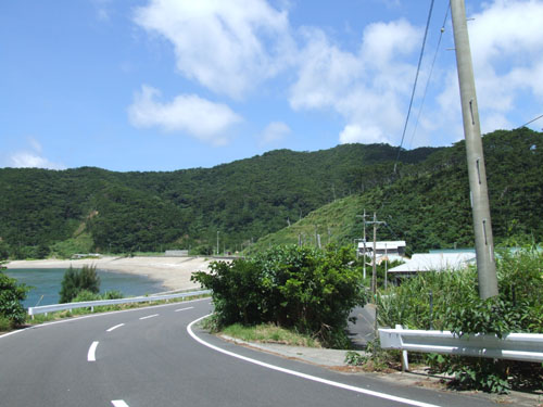 e0028387_2394851.jpg