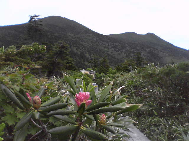 a0007388_13441898.jpg